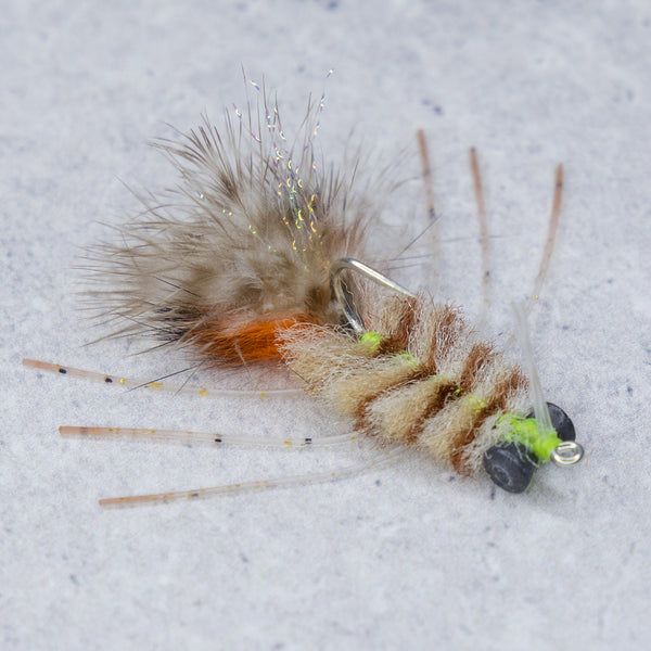 EP Permit Crab