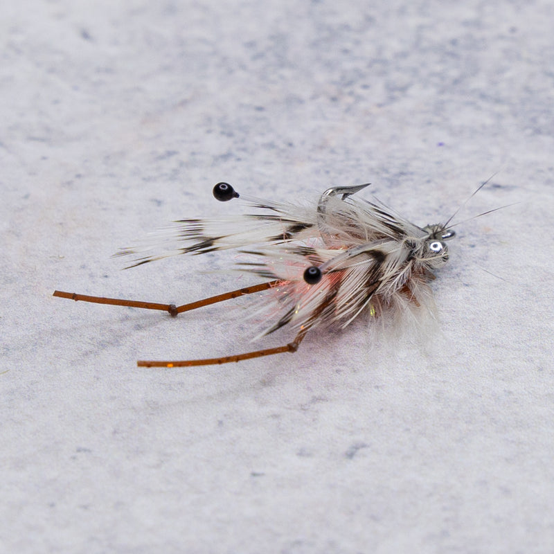 Blackburn's Sifter Shrimp