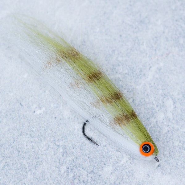 Brush Head Minnow