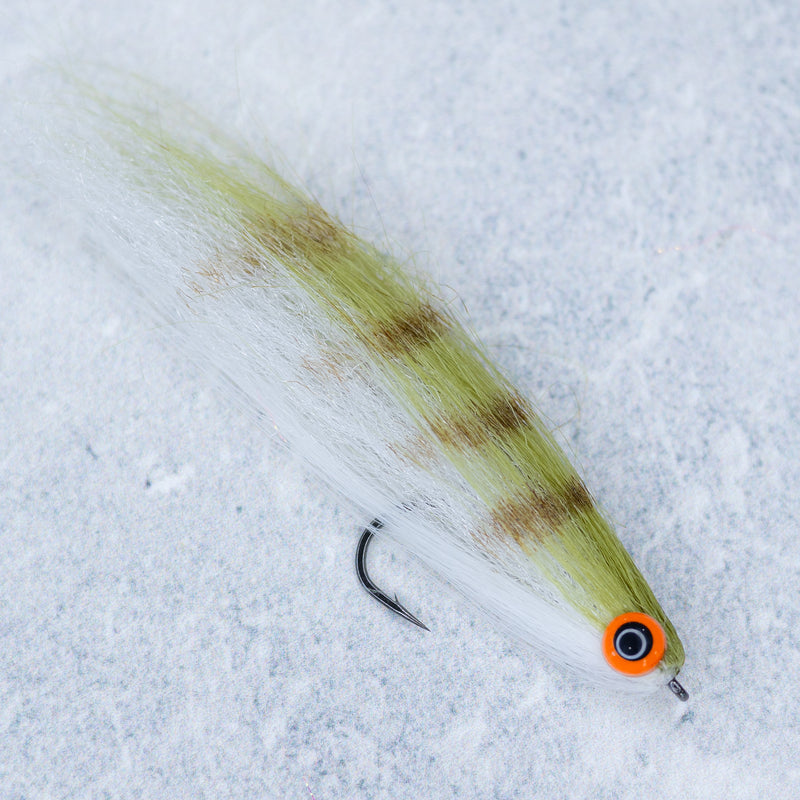 Brush Head Minnow