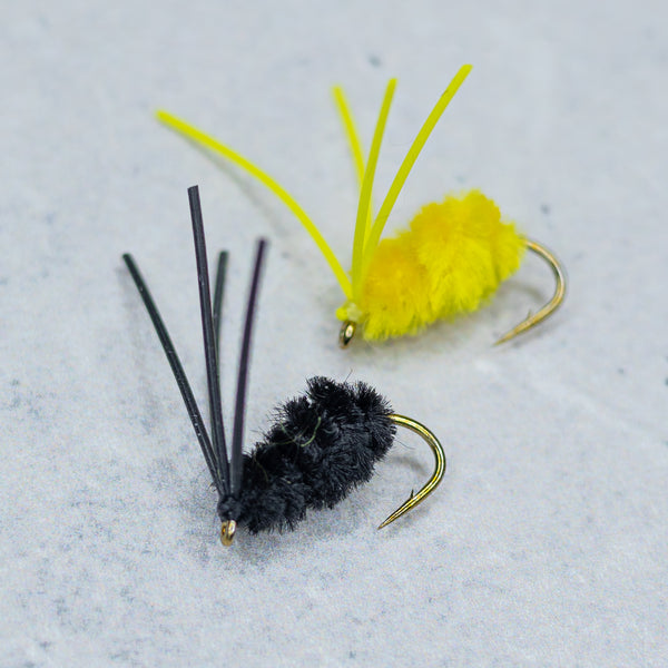 Bully Bluegill Spider