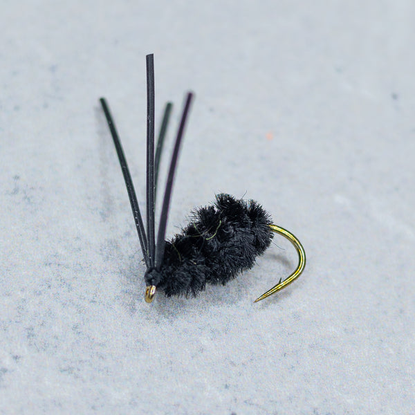 Bully Bluegill Spider