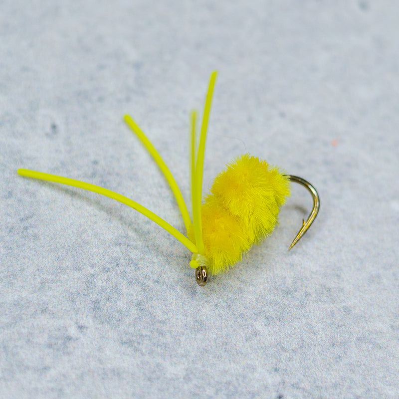 Bully Bluegill Spider