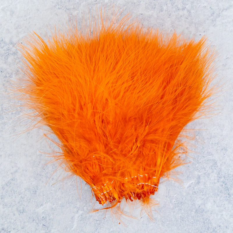 Arctic Fox