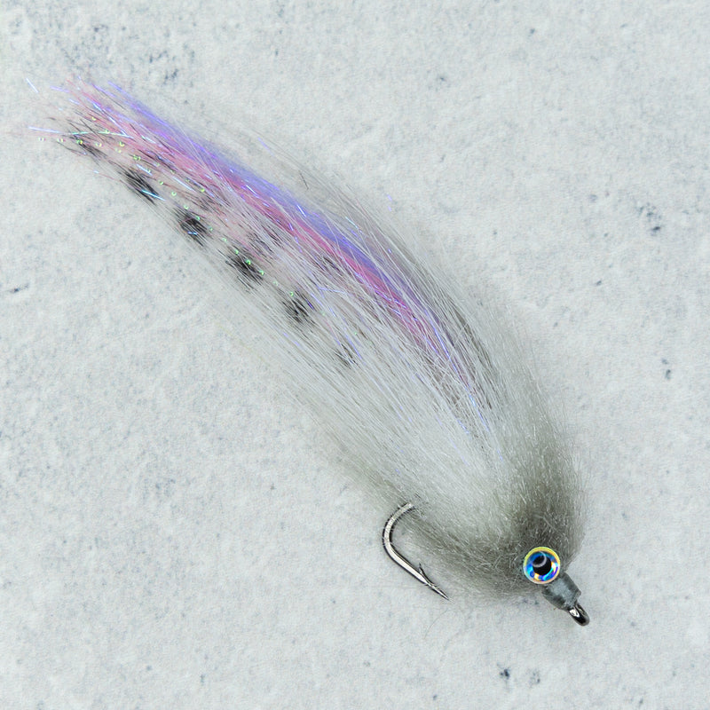 Haley's Minnow - Nebula Grey