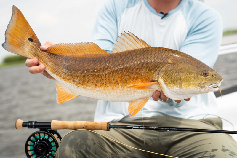Moment Fly Rod