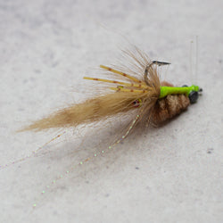 Rainy's Mini Corona Toad