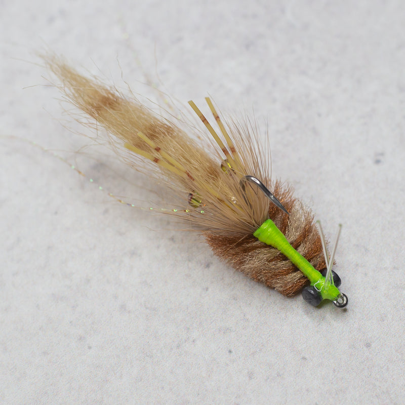 Rainy's Mini Corona Toad