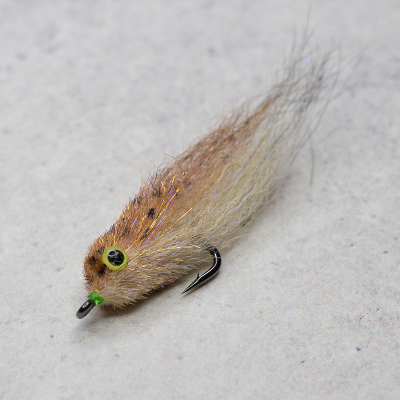 Mud Minnows  Fishing from Florida Shores