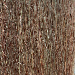 EP Gamechange Fibers Blend