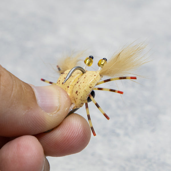 Meade's Gutless Crab